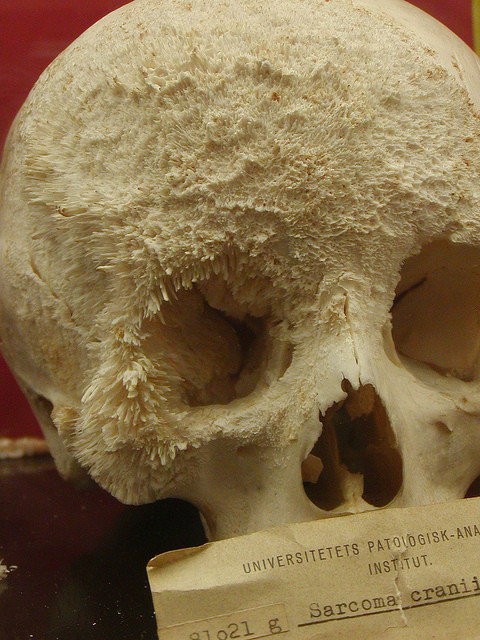 T_97_ENQDw.jpg T_97_ENQDw.jpg