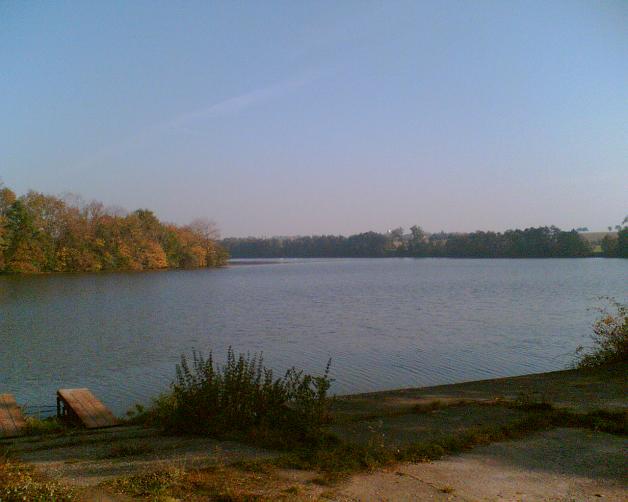 V_274_B.jpg