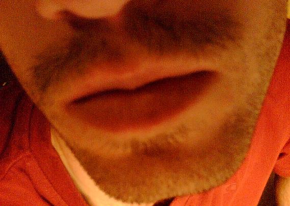Vit_180_Ondi1.jpg