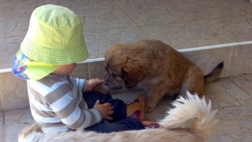 zekon_226_030520091291.jpg